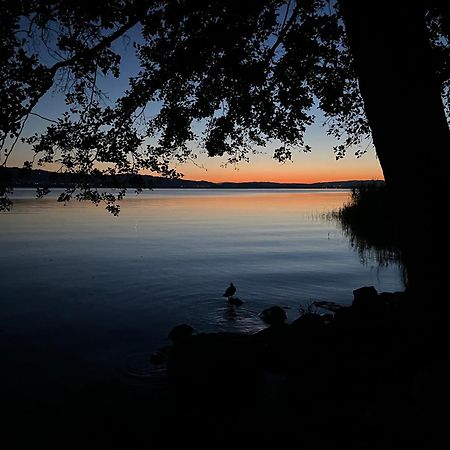 Guesthouse Juerg Sempach Zewnętrze zdjęcie